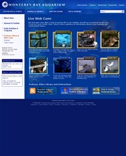 アメリカ合衆国 カリフォルニア州のライブカメラ：サンフランシスコ南方，モントレーにある「モントレーベイ水族館」からのライブ中継