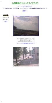 新潟県のライブカメラ：長岡市にある「山田動物クリニック」から見た信濃川に架かる大手大橋のある景色とその駐車場の今の様子