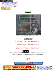 新潟県のライブカメラ：ウサギの「チャッピー」の今の様子