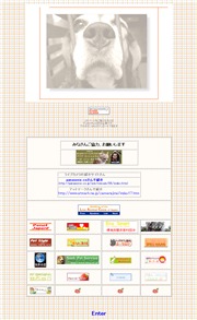 福岡県のライブカメラ：管理者の愛犬たち「チャチャ，ミミ，ジャック」の今の様子