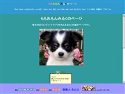 岡山県のライブカメラ：柴犬「もも」とチワワ「れもん」の今の様子