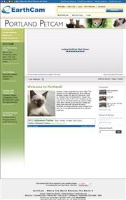 アメリカ合衆国 オレゴン州のライブカメラ：ポートランドにある動物保護施設「オレゴン・ヒューメイン・ソサエティー」で保護された猫の今の様子