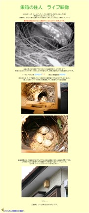 神奈川県のライブカメラ：管理者宅の外壁にあるススメの巣箱の中の今の様子